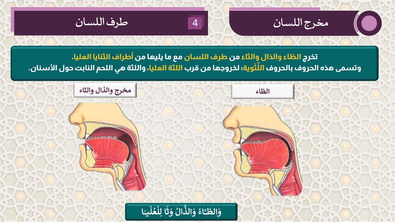 مخارج الحروف - الصفحة 17